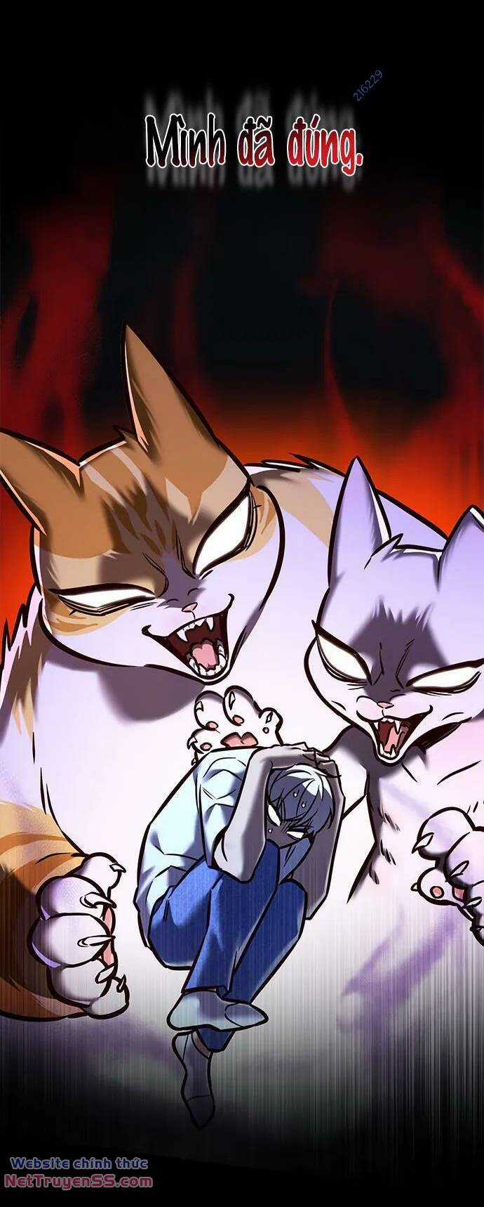 Biến Thân Thành Mèo Chapter 280 trang 39