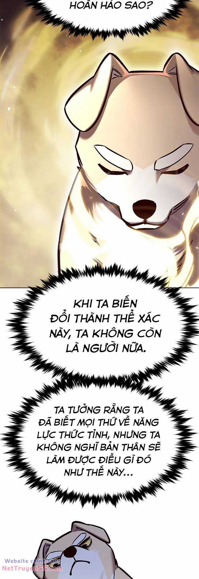 Biến Thân Thành Mèo Chapter 280 trang 4