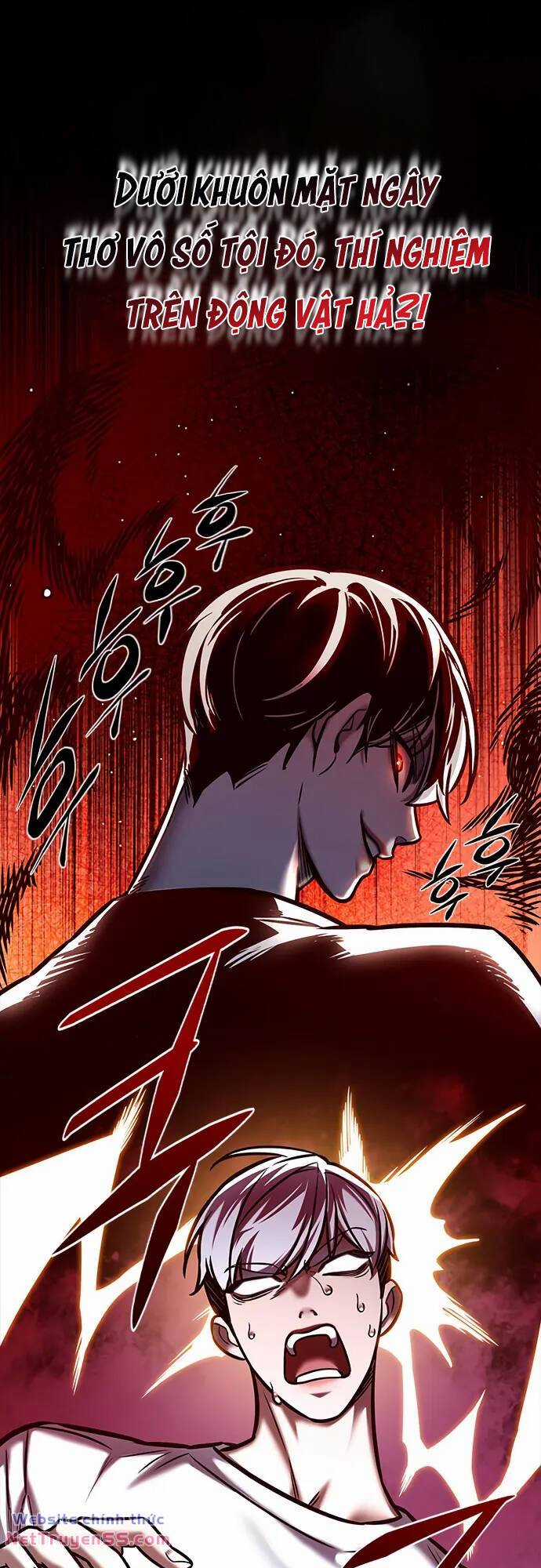 Biến Thân Thành Mèo Chapter 280 trang 43