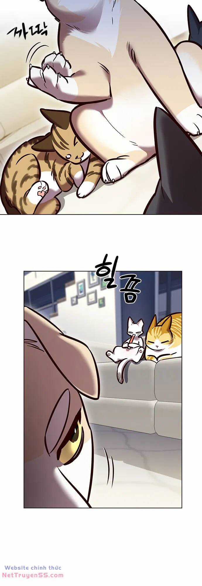 Biến Thân Thành Mèo Chapter 280 trang 5