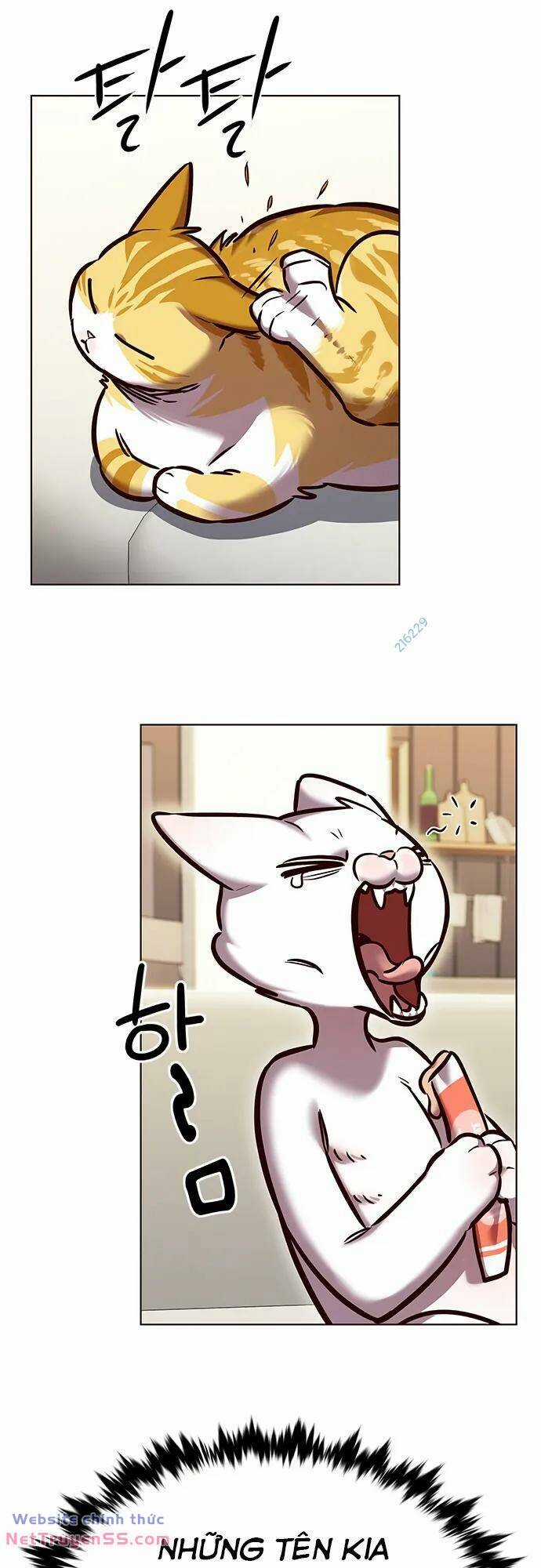 Biến Thân Thành Mèo Chapter 280 trang 6