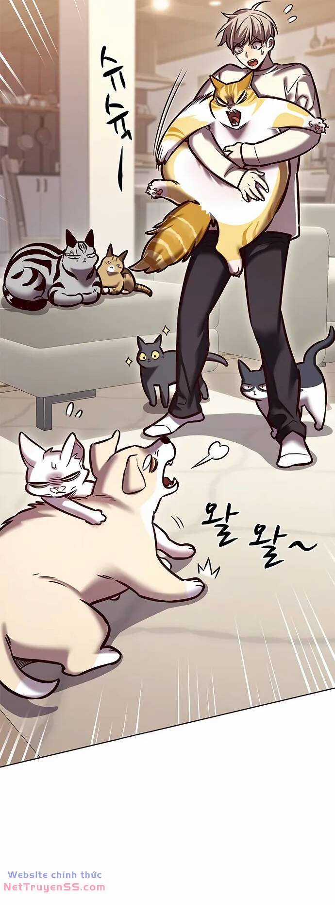 Biến Thân Thành Mèo Chapter 280 trang 73