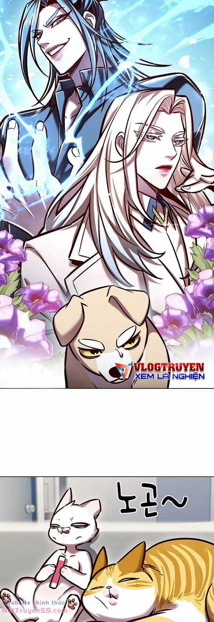 Biến Thân Thành Mèo Chapter 280 trang 8