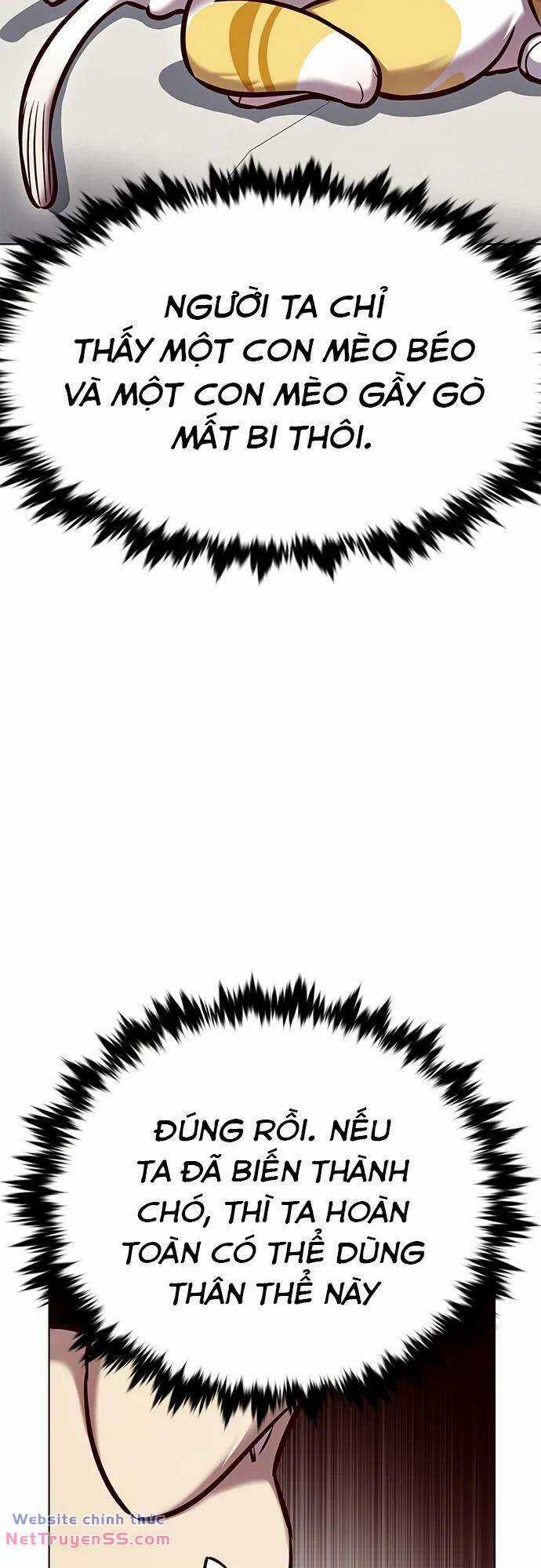 Biến Thân Thành Mèo Chapter 280 trang 9