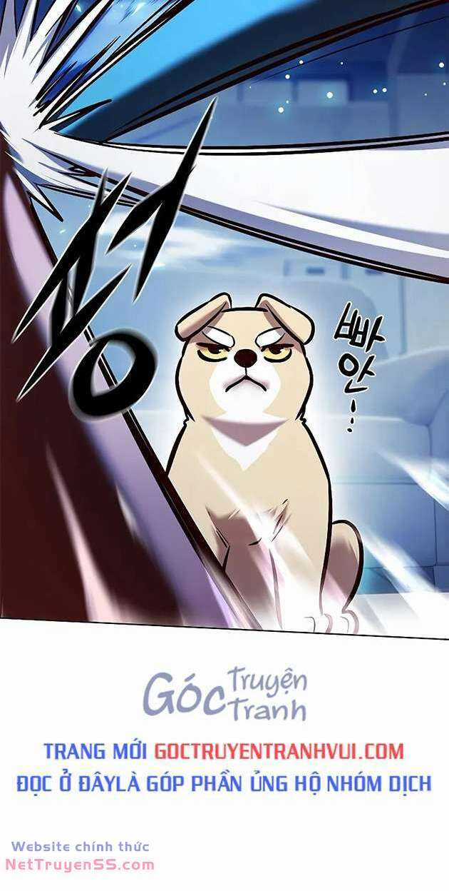 Biến Thân Thành Mèo Chapter 281 trang 18