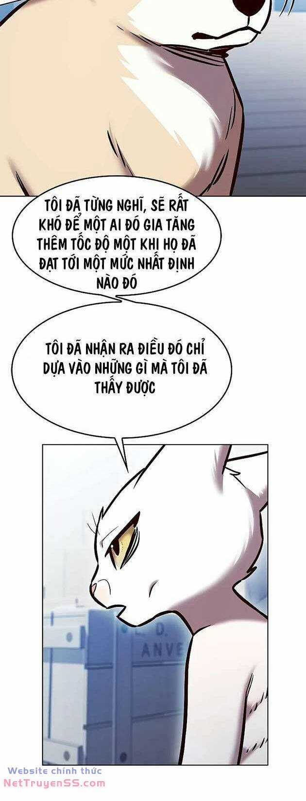 Biến Thân Thành Mèo Chapter 281 trang 24