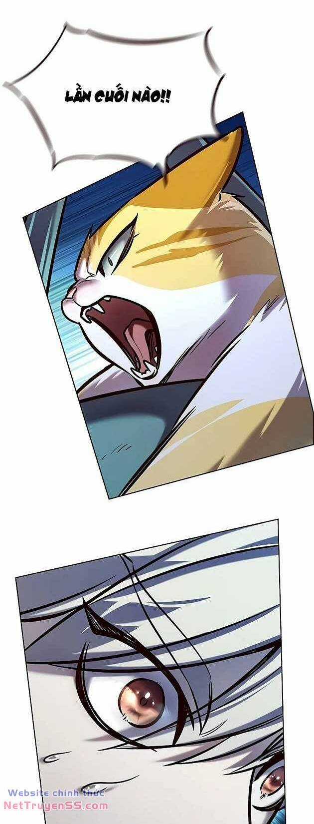 Biến Thân Thành Mèo Chapter 281 trang 26