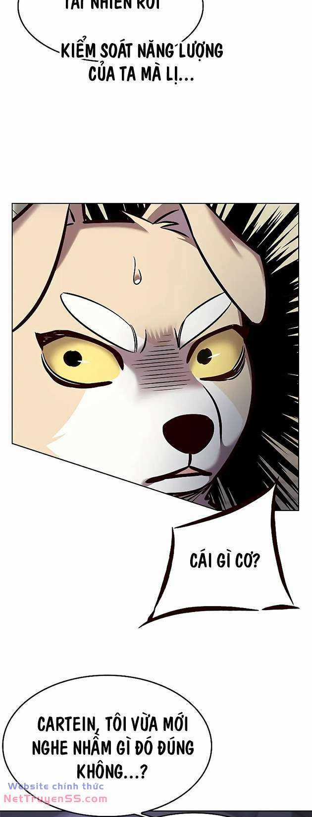 Biến Thân Thành Mèo Chapter 281 trang 41