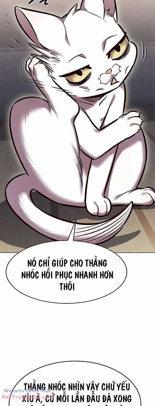 Biến Thân Thành Mèo Chapter 281 trang 43