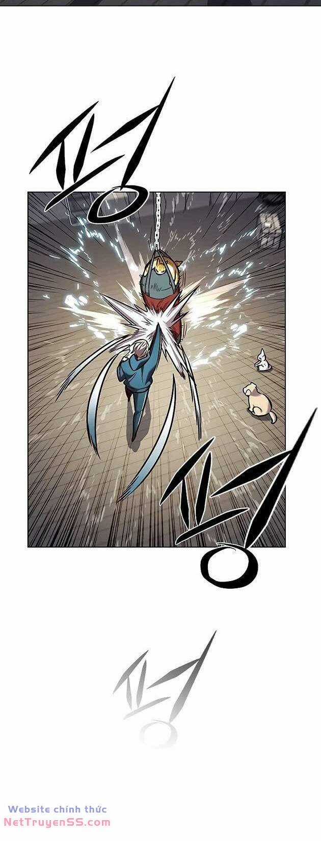 Biến Thân Thành Mèo Chapter 281 trang 48