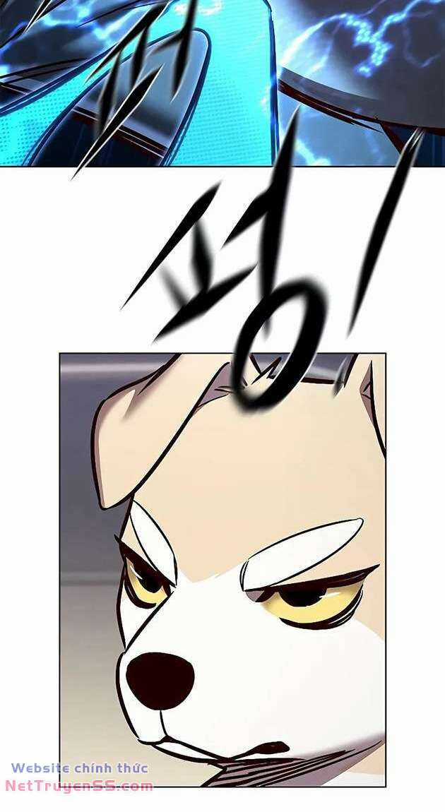 Biến Thân Thành Mèo Chapter 281 trang 8