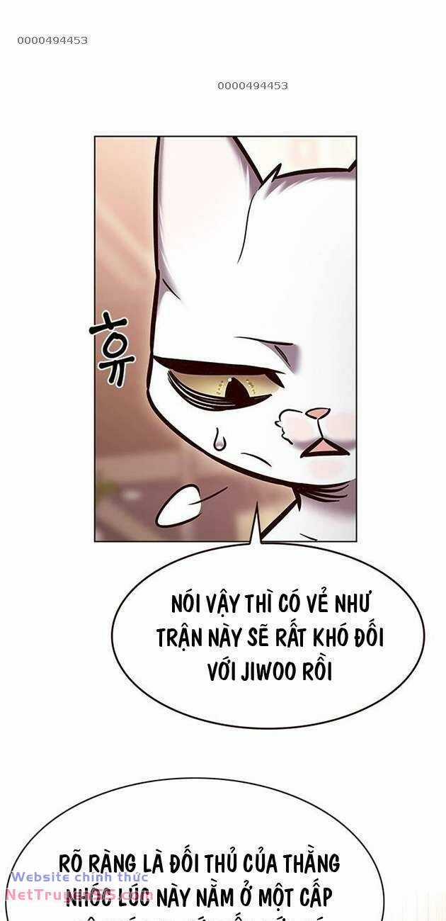 Biến Thân Thành Mèo Chapter 282 trang 10