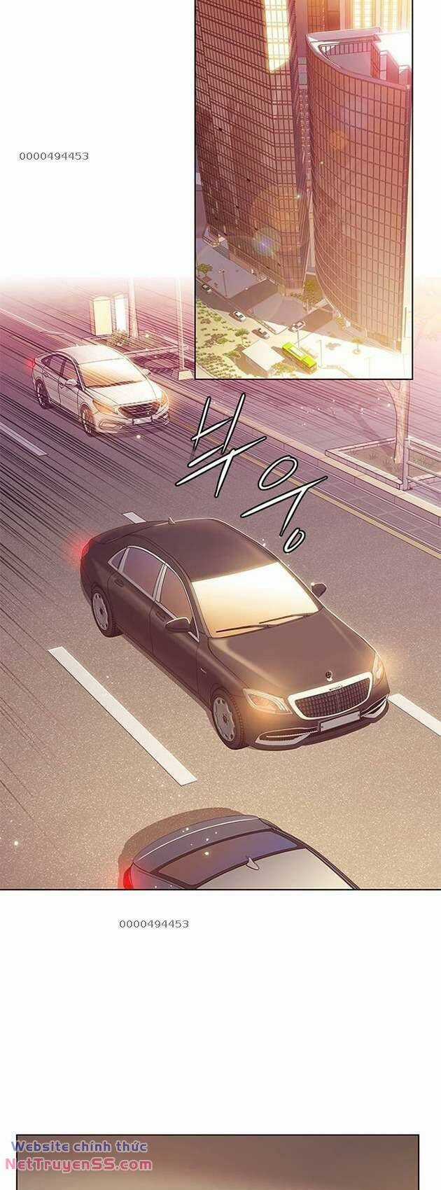 Biến Thân Thành Mèo Chapter 282 trang 32