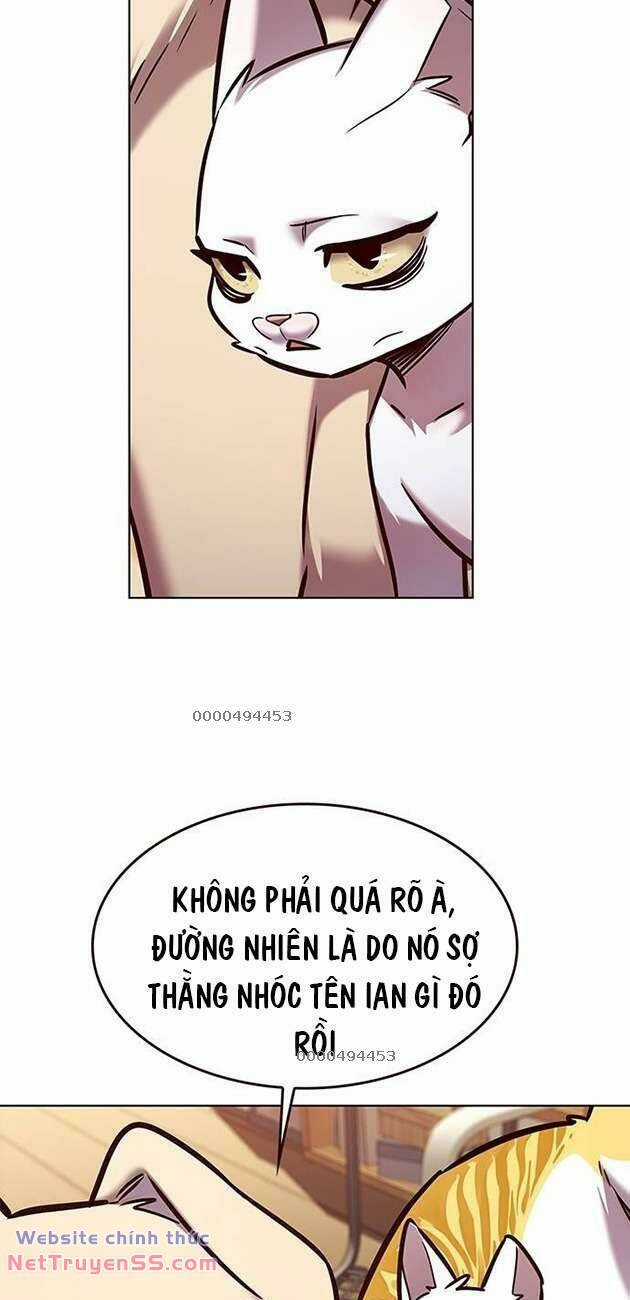 Biến Thân Thành Mèo Chapter 282 trang 4