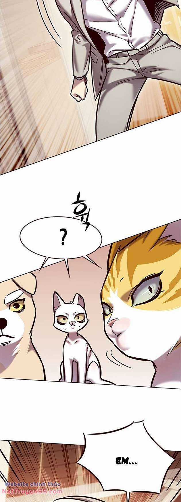 Biến Thân Thành Mèo Chapter 282 trang 54