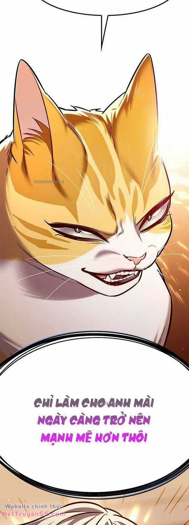 Biến Thân Thành Mèo Chapter 282 trang 63