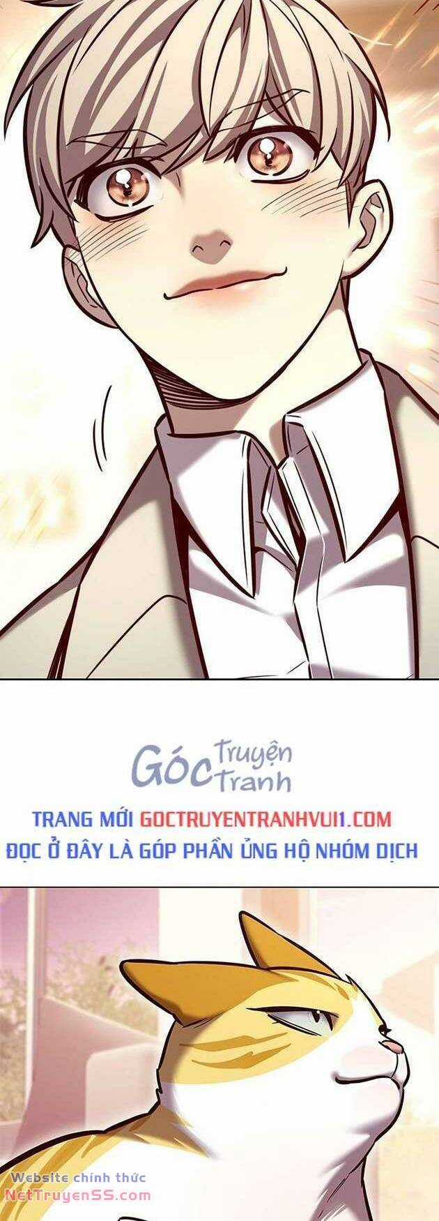 Biến Thân Thành Mèo Chapter 282 trang 64