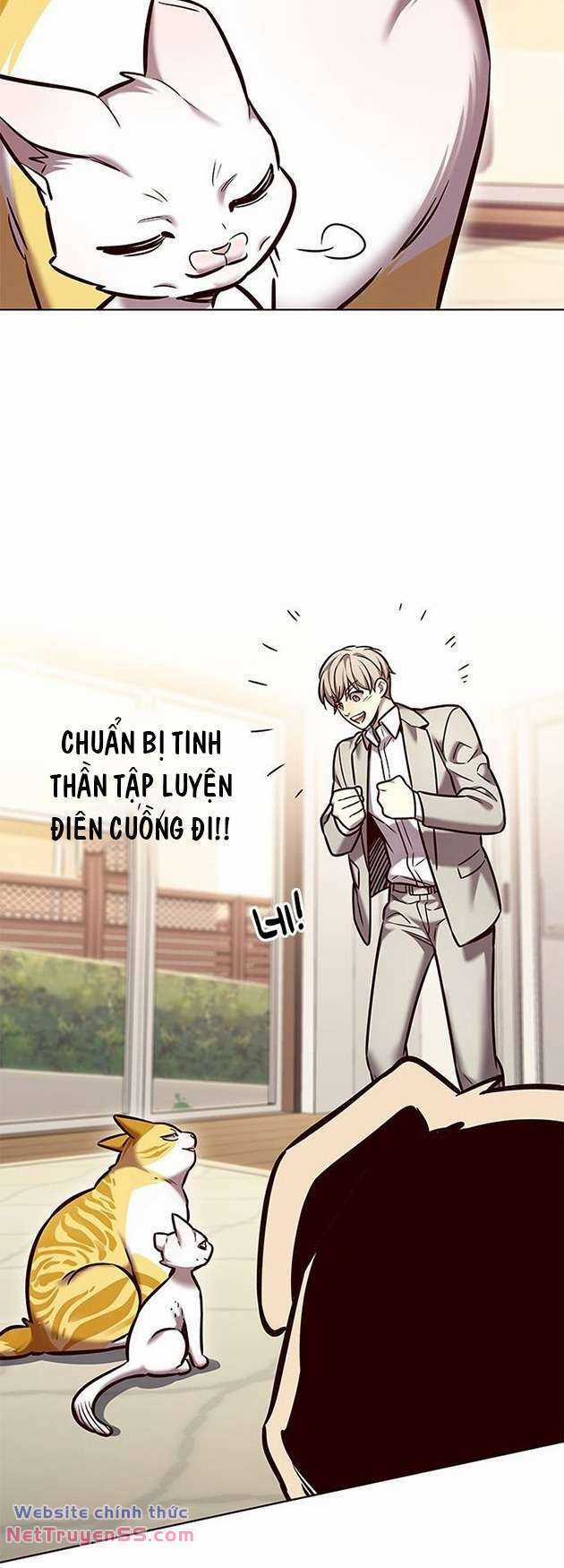 Biến Thân Thành Mèo Chapter 282 trang 65