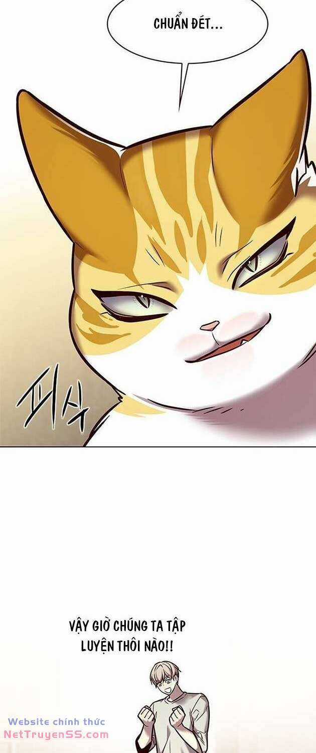 Biến Thân Thành Mèo Chapter 283 trang 41