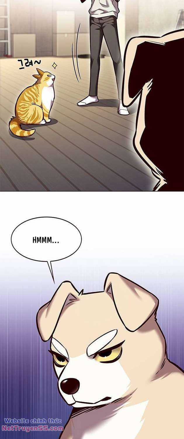 Biến Thân Thành Mèo Chapter 283 trang 42