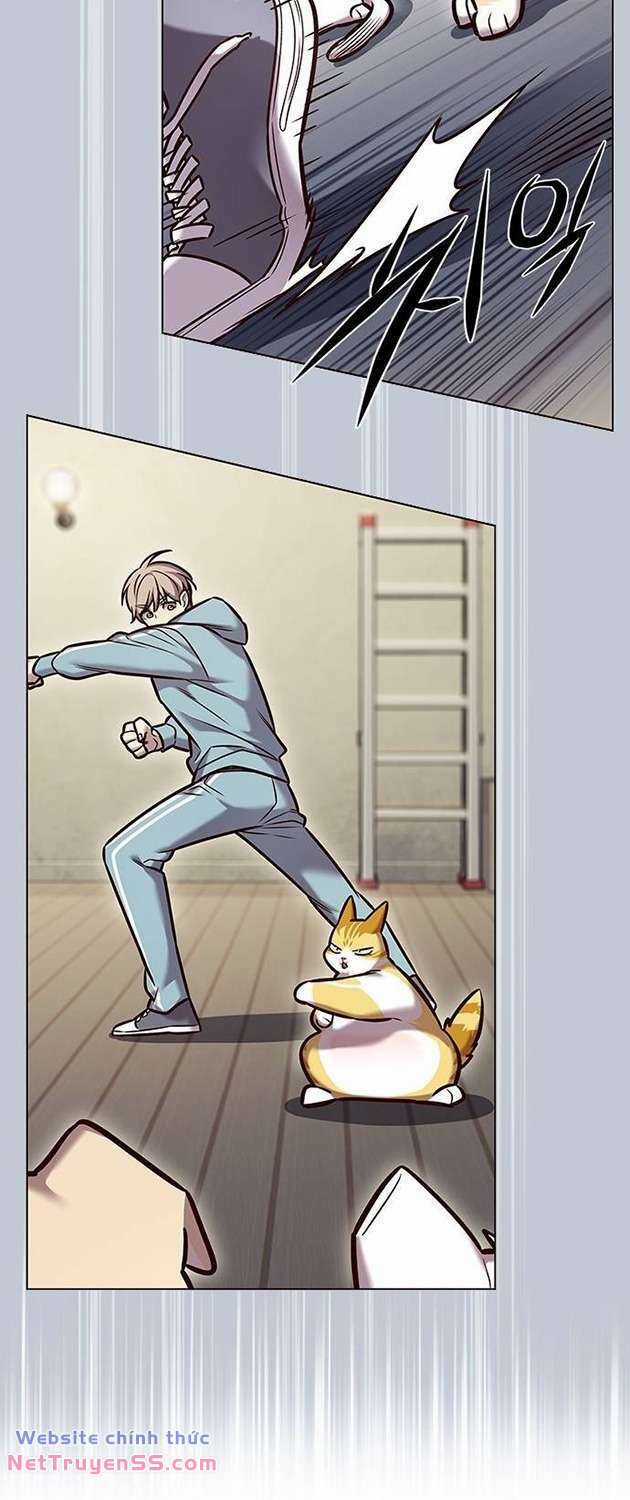 Biến Thân Thành Mèo Chapter 283 trang 46