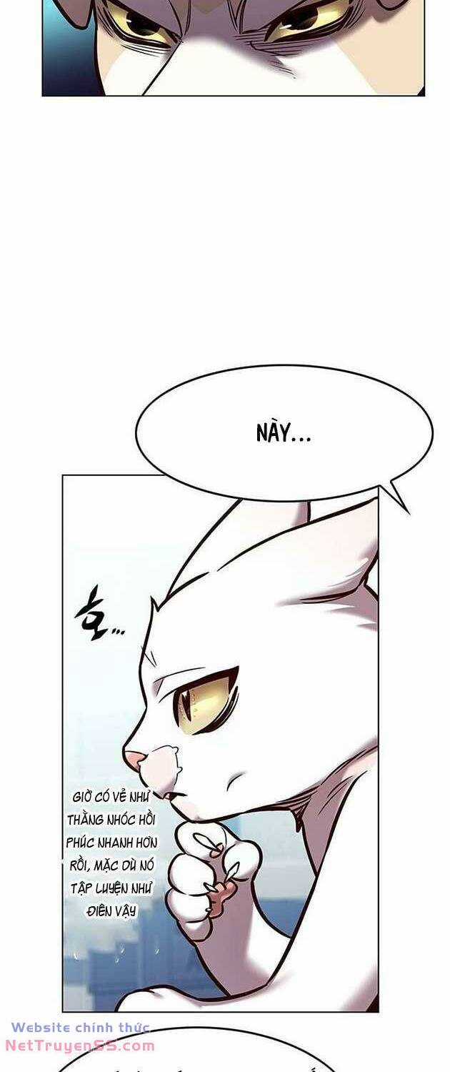 Biến Thân Thành Mèo Chapter 283 trang 49