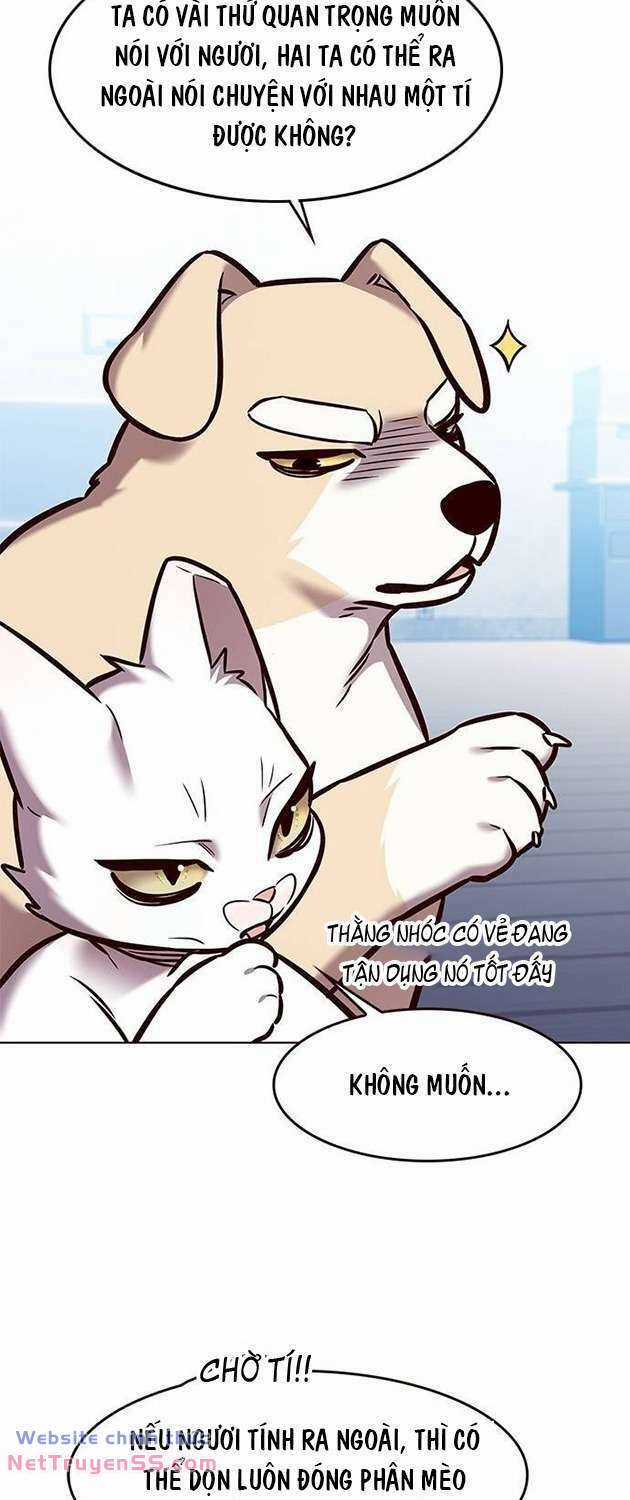 Biến Thân Thành Mèo Chapter 283 trang 50