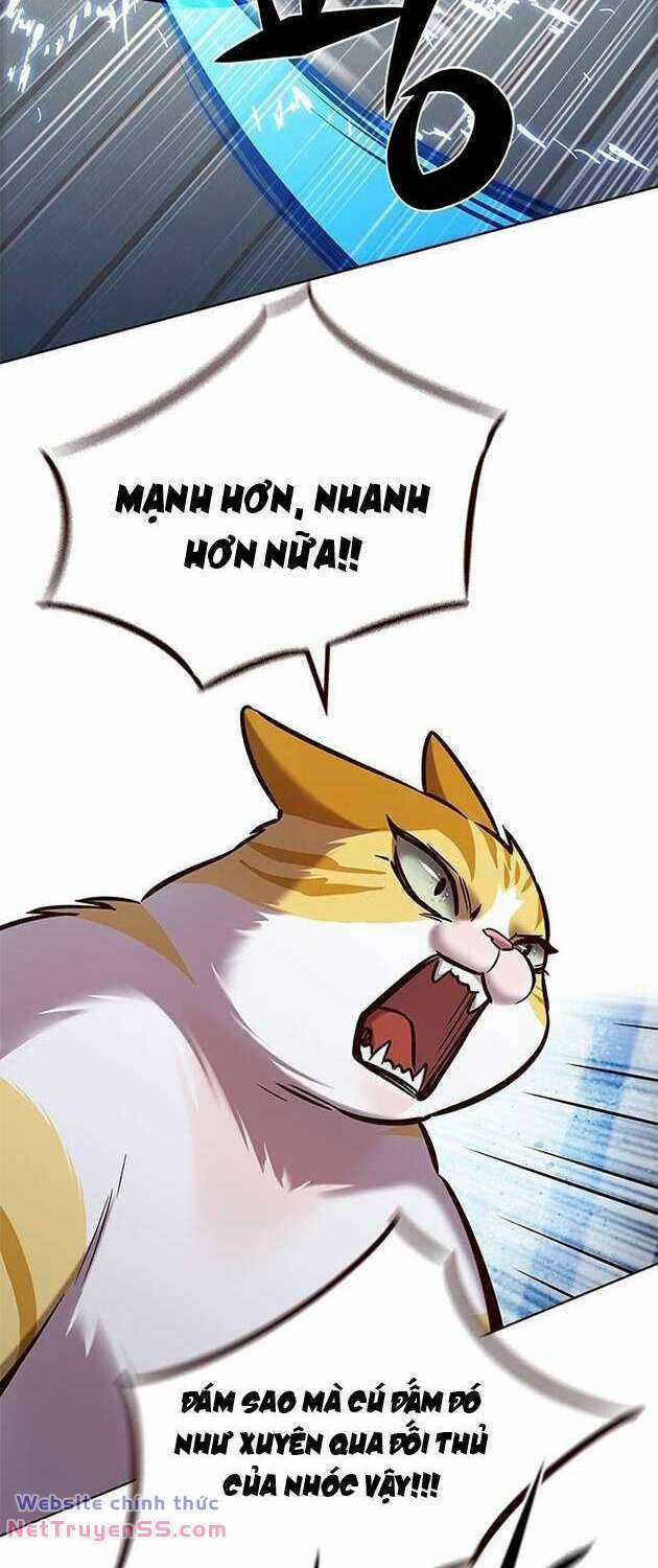 Biến Thân Thành Mèo Chapter 283 trang 53