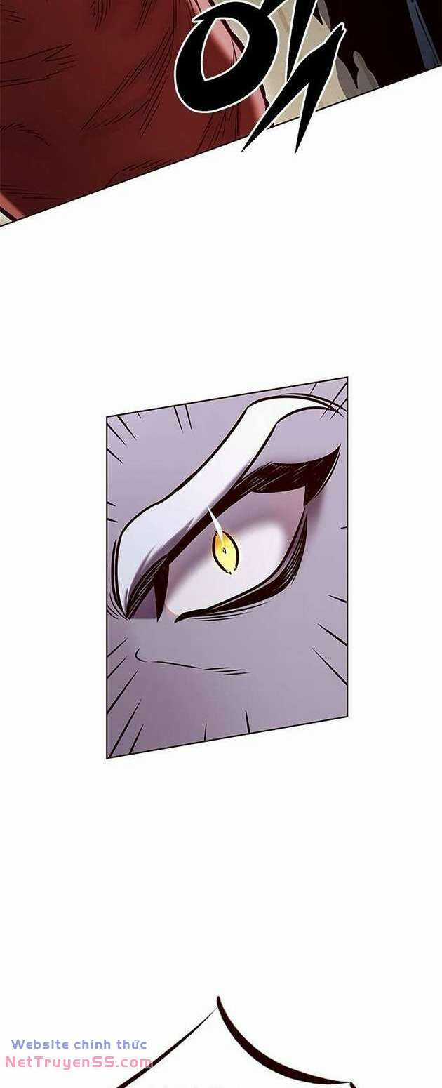 Biến Thân Thành Mèo Chapter 283 trang 60