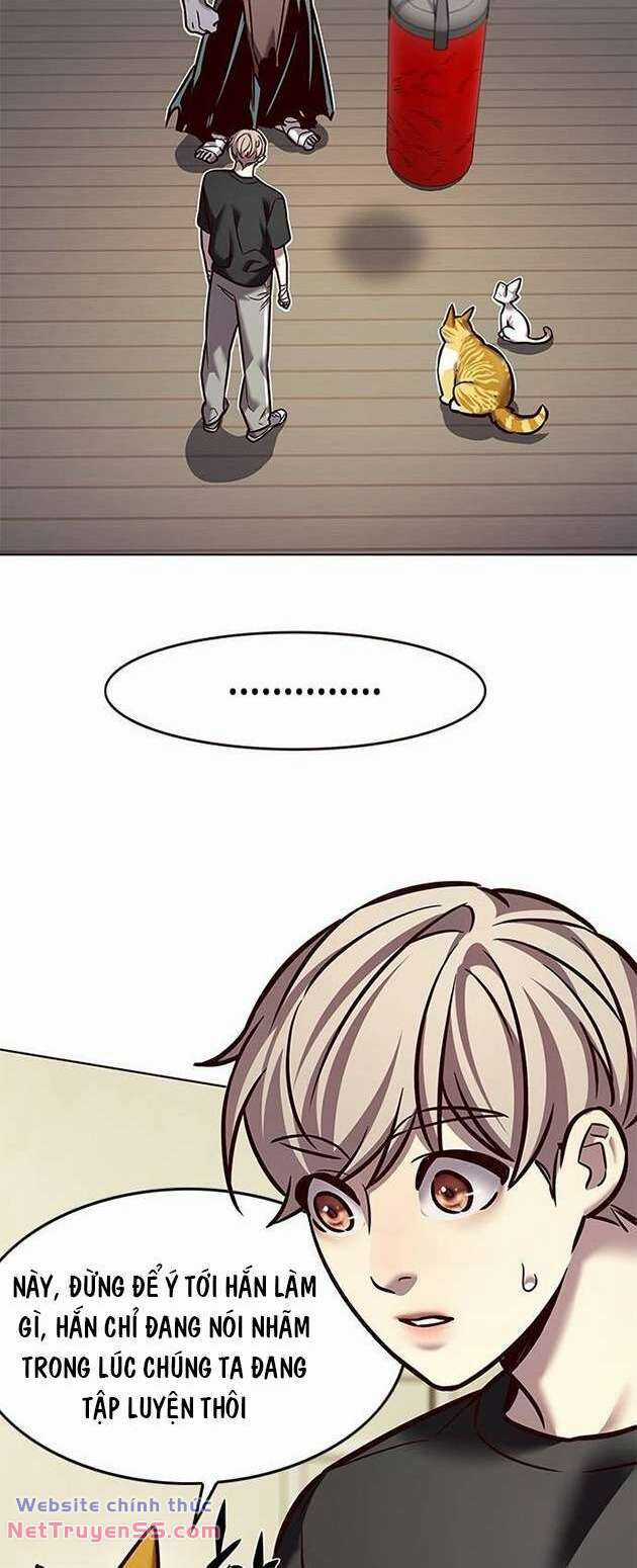 Biến Thân Thành Mèo Chapter 283 trang 64