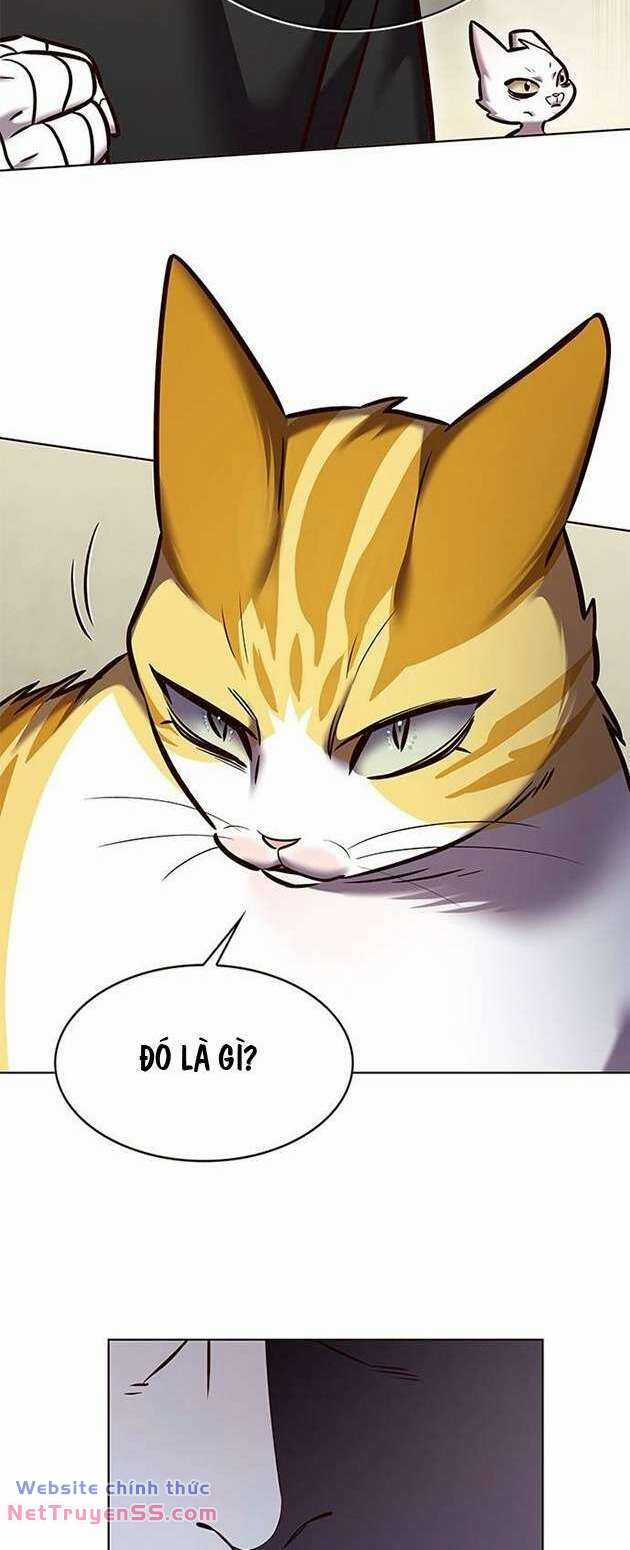 Biến Thân Thành Mèo Chapter 283 trang 74