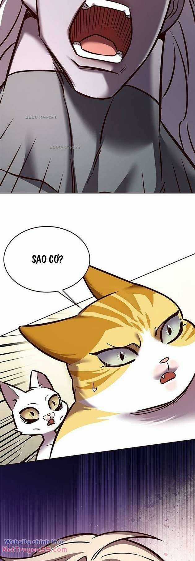 Biến Thân Thành Mèo Chapter 283 trang 77