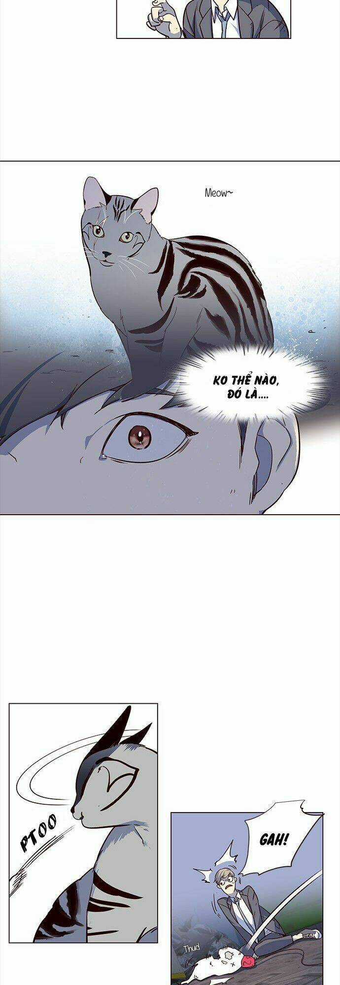 Biến Thân Thành Mèo Chapter 3 trang 11