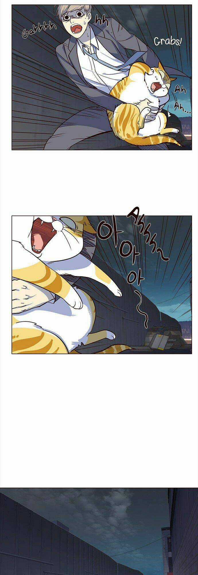 Biến Thân Thành Mèo Chapter 3 trang 14