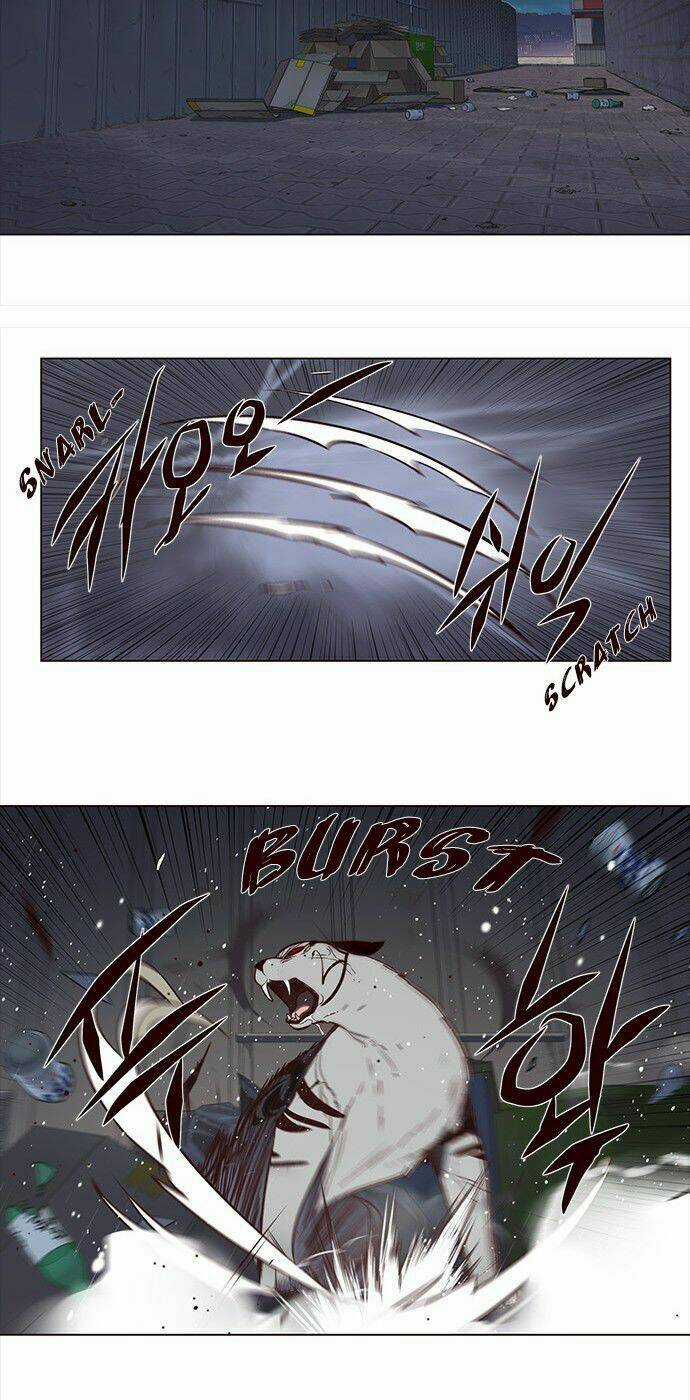 Biến Thân Thành Mèo Chapter 3 trang 15