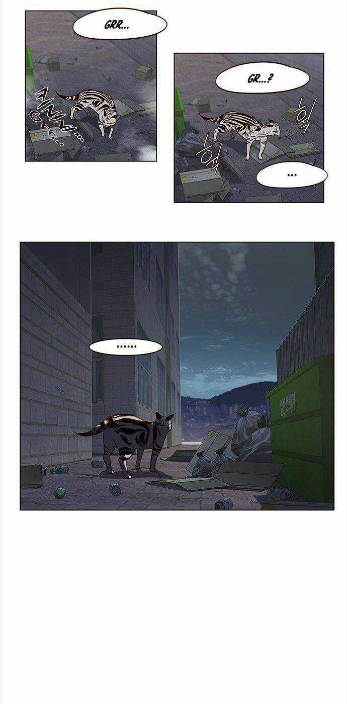 Biến Thân Thành Mèo Chapter 3 trang 16