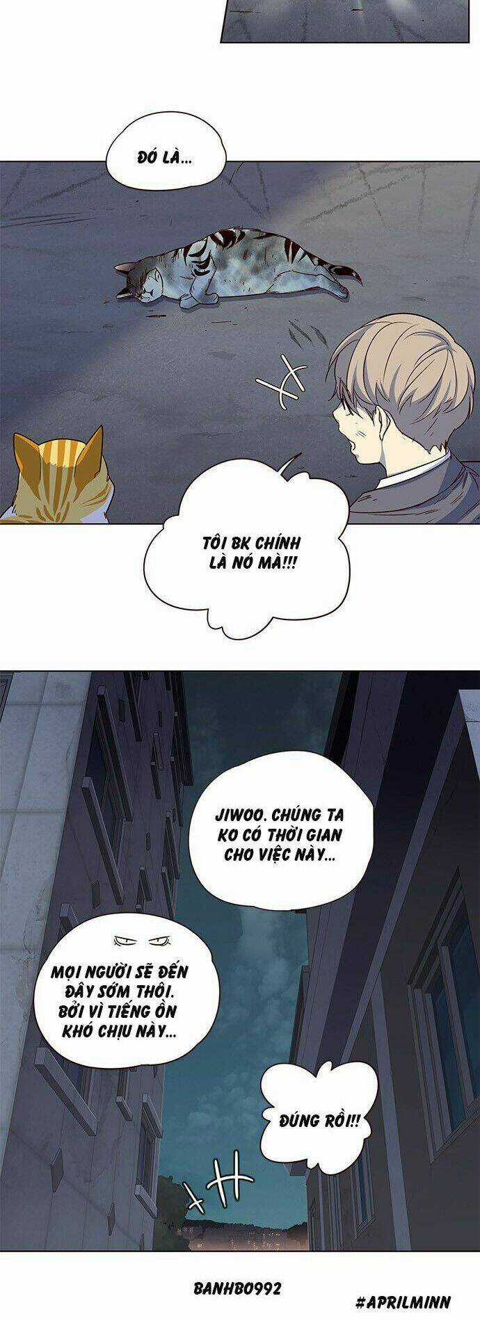 Biến Thân Thành Mèo Chapter 3 trang 49