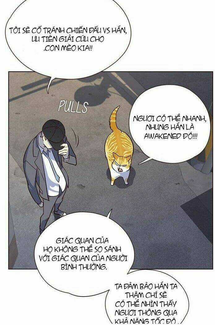 Biến Thân Thành Mèo Chapter 5 trang 44