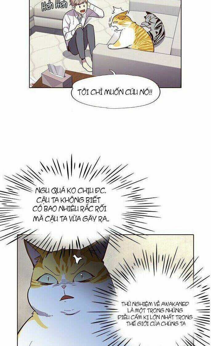 Biến Thân Thành Mèo Chapter 6 trang 11