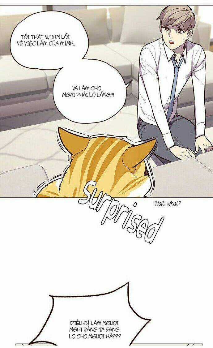 Biến Thân Thành Mèo Chapter 6 trang 16