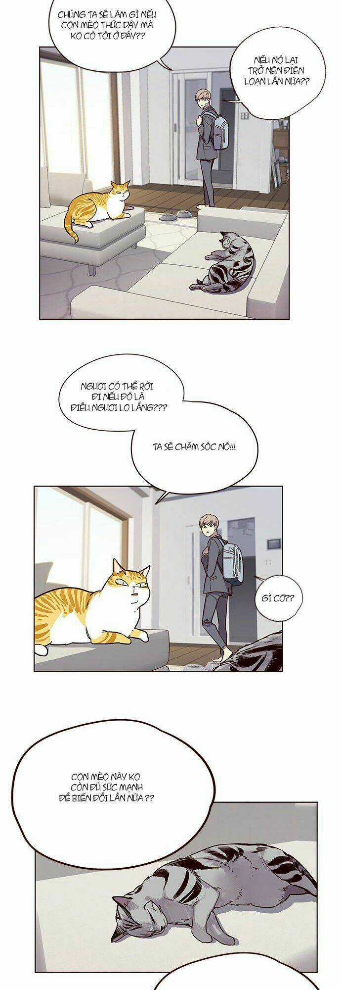 Biến Thân Thành Mèo Chapter 6 trang 23