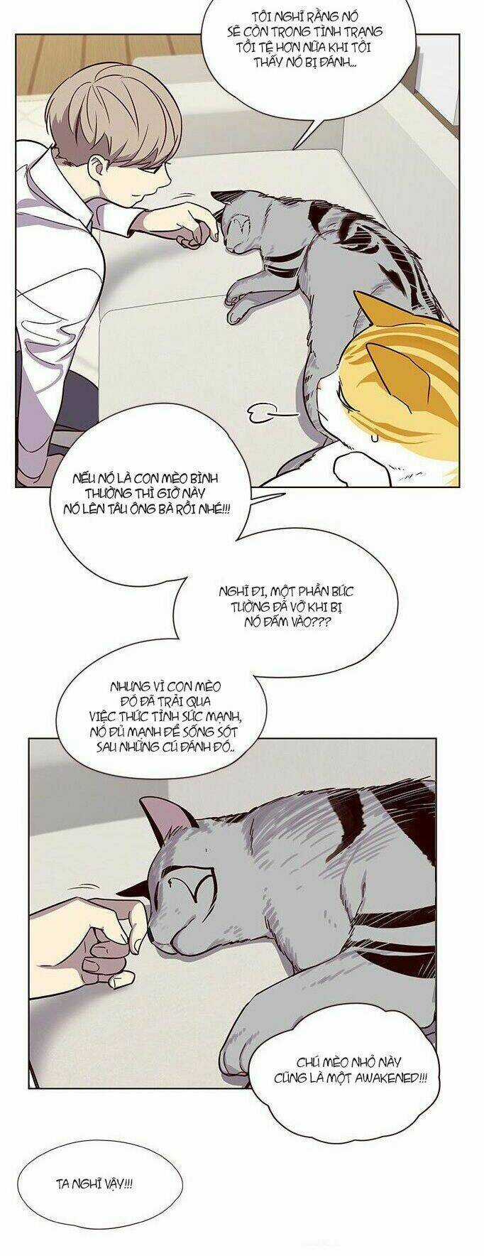 Biến Thân Thành Mèo Chapter 6 trang 3