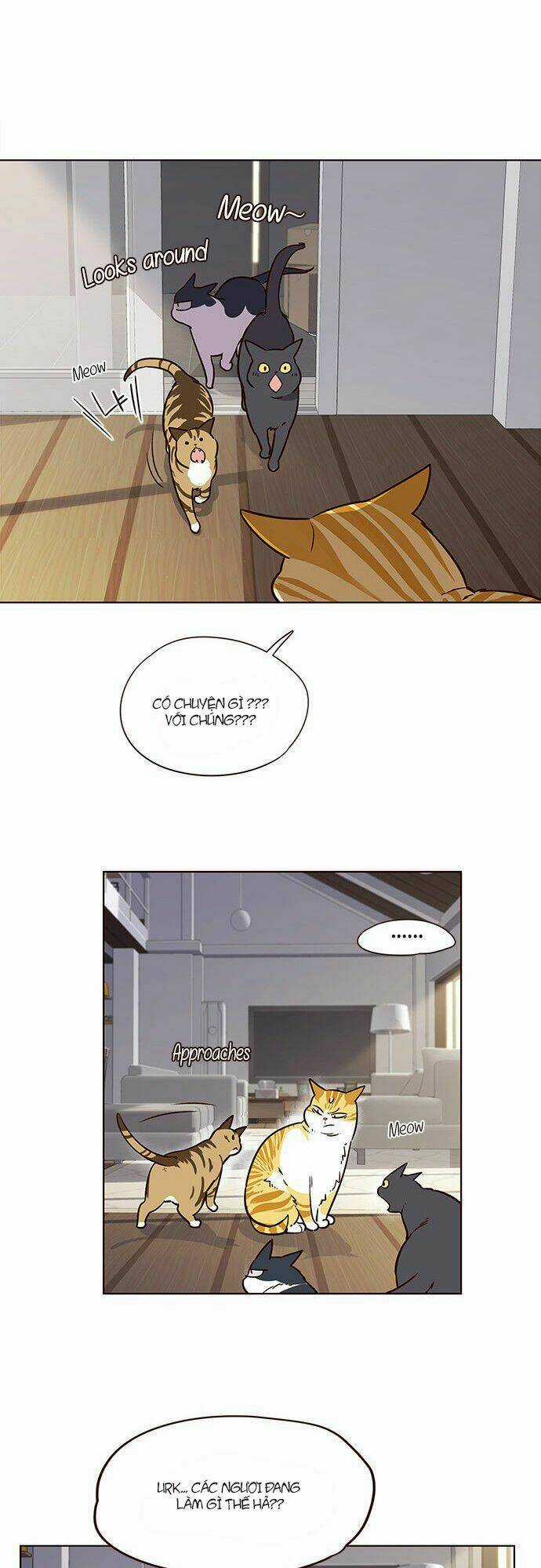 Biến Thân Thành Mèo Chapter 6 trang 31