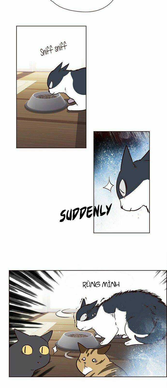 Biến Thân Thành Mèo Chapter 6 trang 33