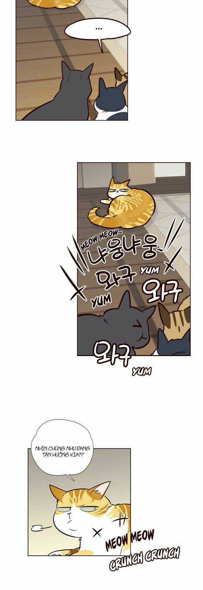 Biến Thân Thành Mèo Chapter 6 trang 38
