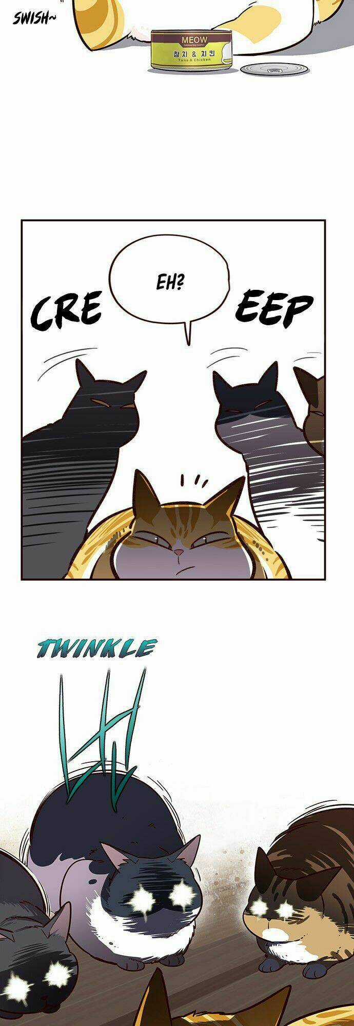 Biến Thân Thành Mèo Chapter 6 trang 41