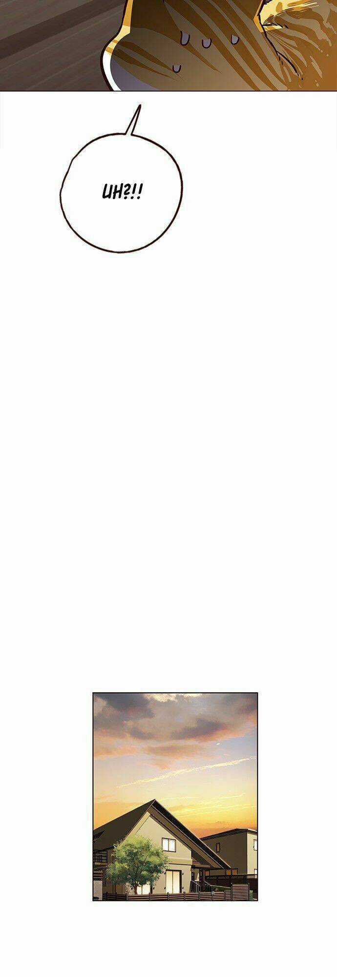 Biến Thân Thành Mèo Chapter 6 trang 42