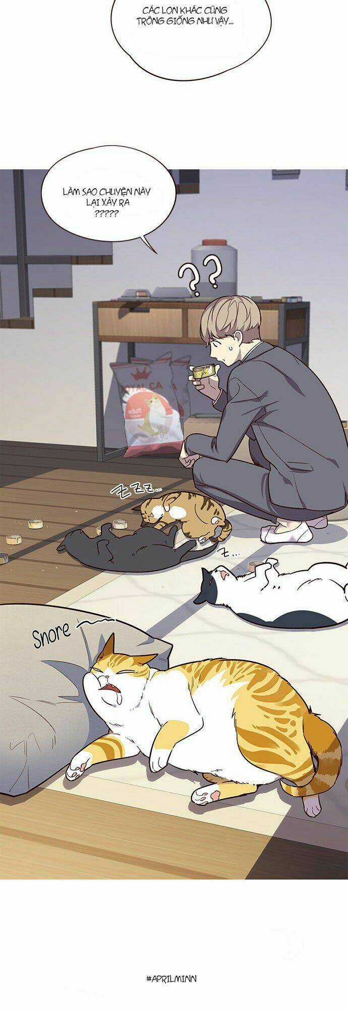 Biến Thân Thành Mèo Chapter 6 trang 45