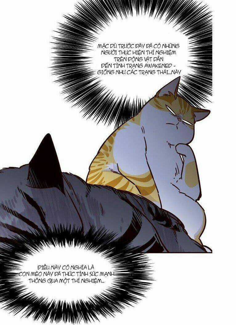 Biến Thân Thành Mèo Chapter 6 trang 5