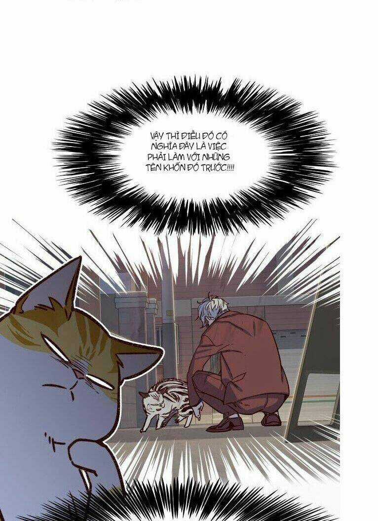 Biến Thân Thành Mèo Chapter 6 trang 6